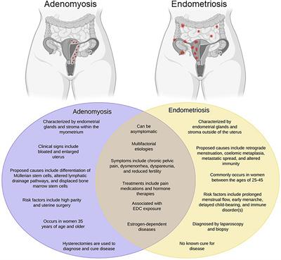 The Potential Relationship Between Environmental Endocrine Disruptor Exposure and the Development of Endometriosis and Adenomyosis